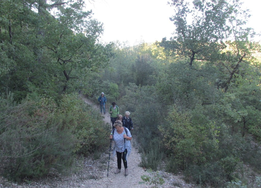 Bouc Bel Air - Jeudi 10 octobre 2019  Rando Colette 4eA1Bt