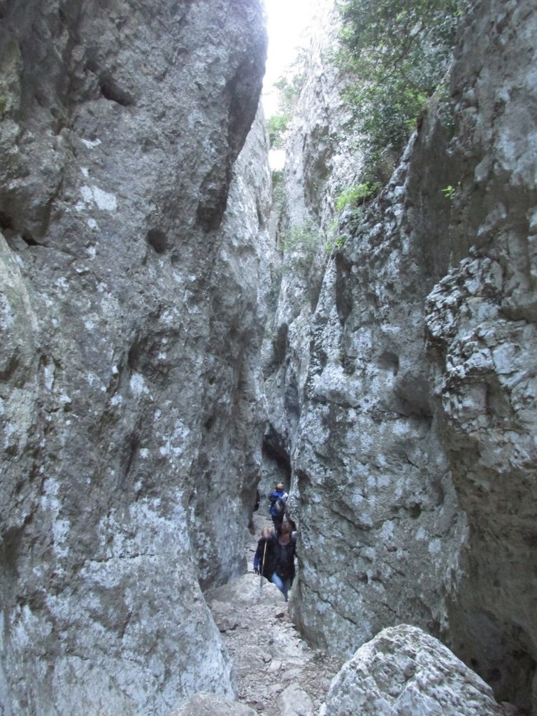         Cheval blanc - Gorges du régalon - Lundi 25 avril 2016 5OMdTY