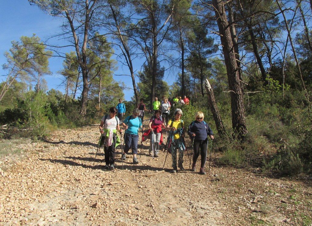 Bouc Bel Air - Jeudi 10 octobre 2019  Rando Colette 61nkBP