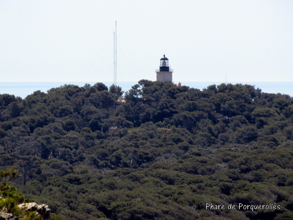 Porquerolles avec Jean Marie - jeudi 23 juin 2016 717HbG