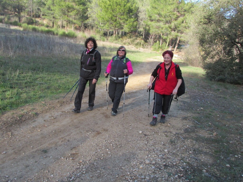 Gardanne -Jeudi 08 Décembre 2016 932SIM