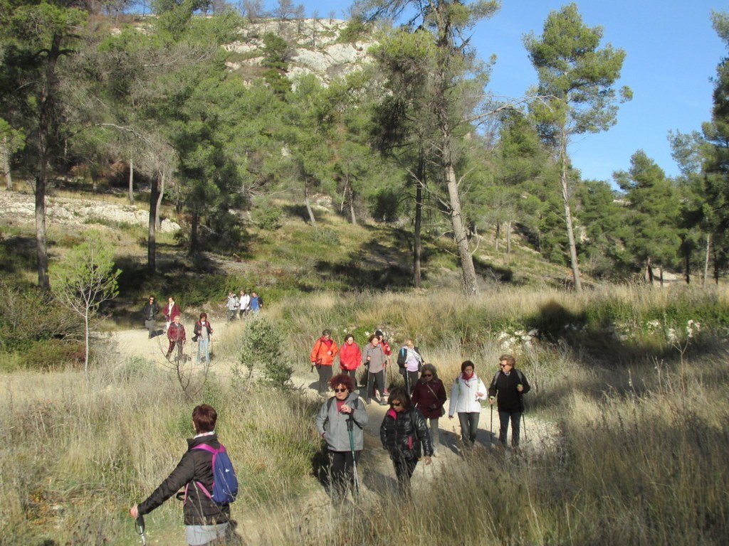 Ensuès - Calanque des eaux salées - Jeudi 18 janvier 2018 BHbXd0