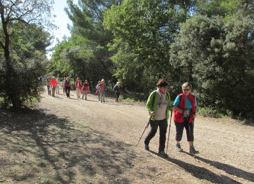 Bouc Bel Air - Jeudi 10 octobre 2019  Rando Colette CJaipb