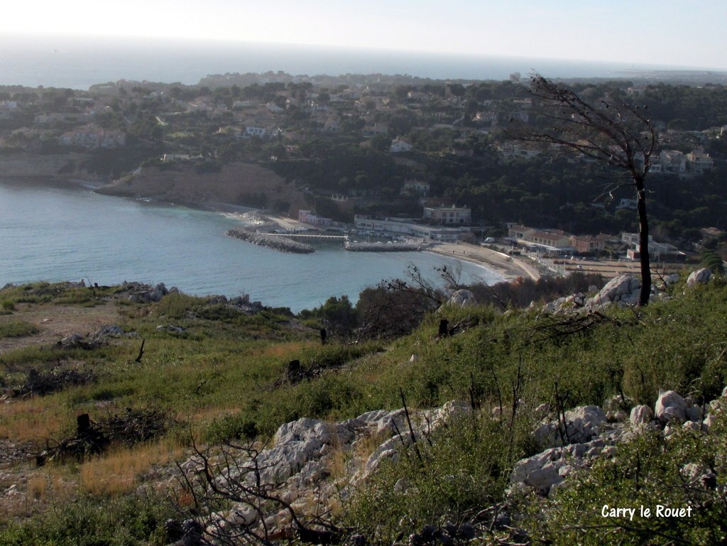 Ensuès - Calanque des eaux salées - Jeudi 18 janvier 2018 Dp6nUL