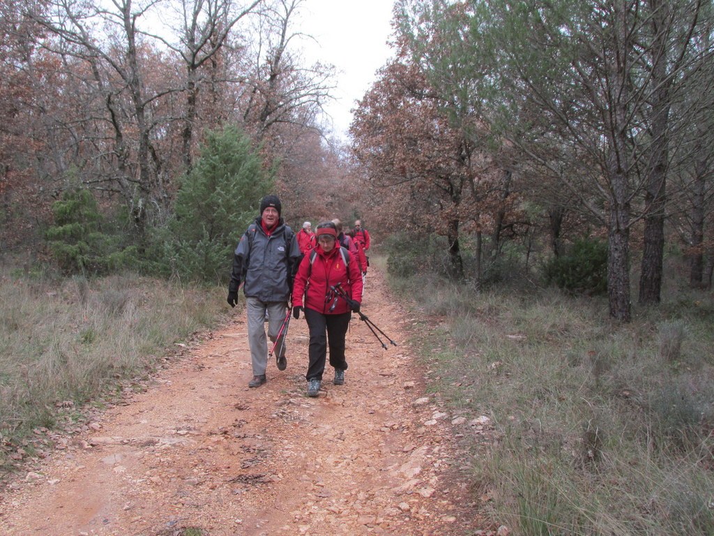 Pourrières - Jeudi 5 décembre 2019 Rando JM et Gérard - Photos Arlette et Roland H9Qmk2