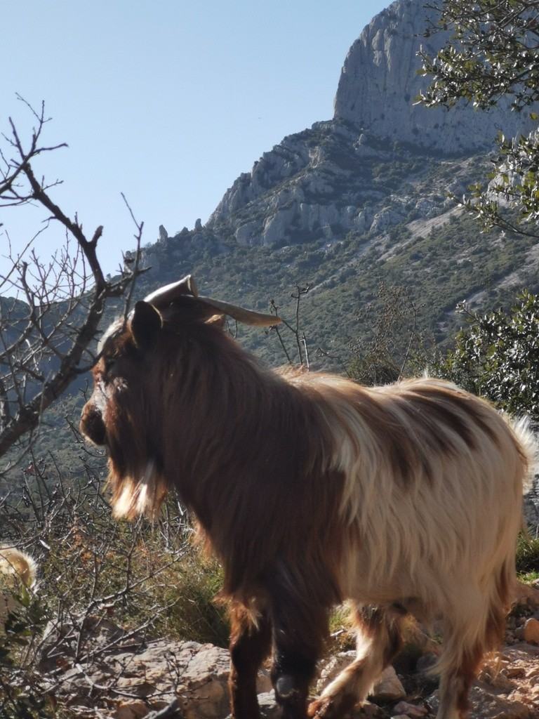 Puyloubier - Jeudi 20 février 2020 JS98uT