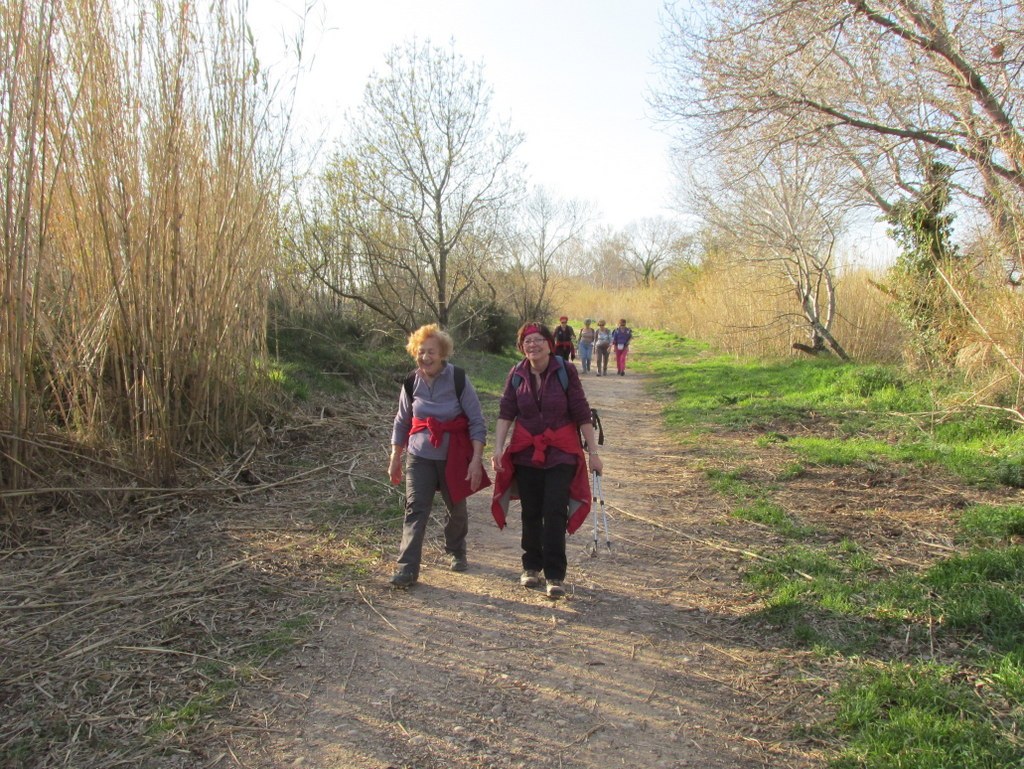 Berre l'Etang - Jeudi 28 février 2019 Jx4Shy