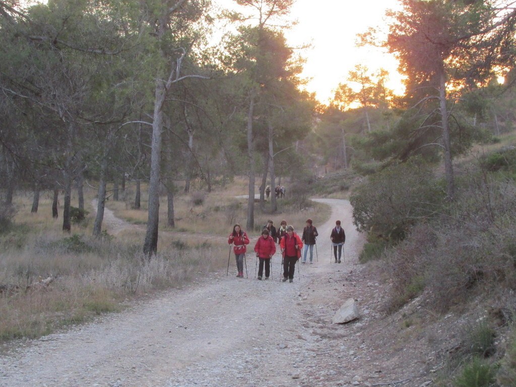 Ensuès - Calanque des eaux salées - Jeudi 18 janvier 2018 Kc9ZTM