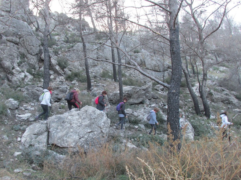 Ensuès - Calanque des eaux salées - Jeudi 18 janvier 2018 M36Xnb