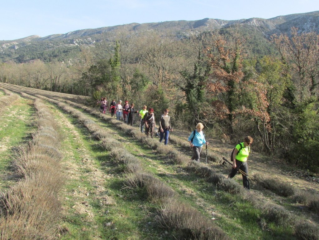 Vauvenargues - Jeudi 23 février 2017 M5R58S