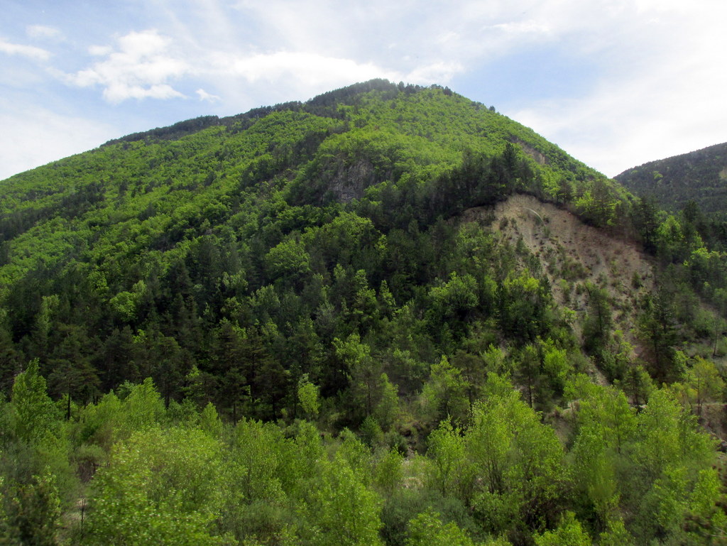 St André les Alpes "Le Train des Pignes " Entrevaux - Samedi 7 mai 2022 NAl6cE