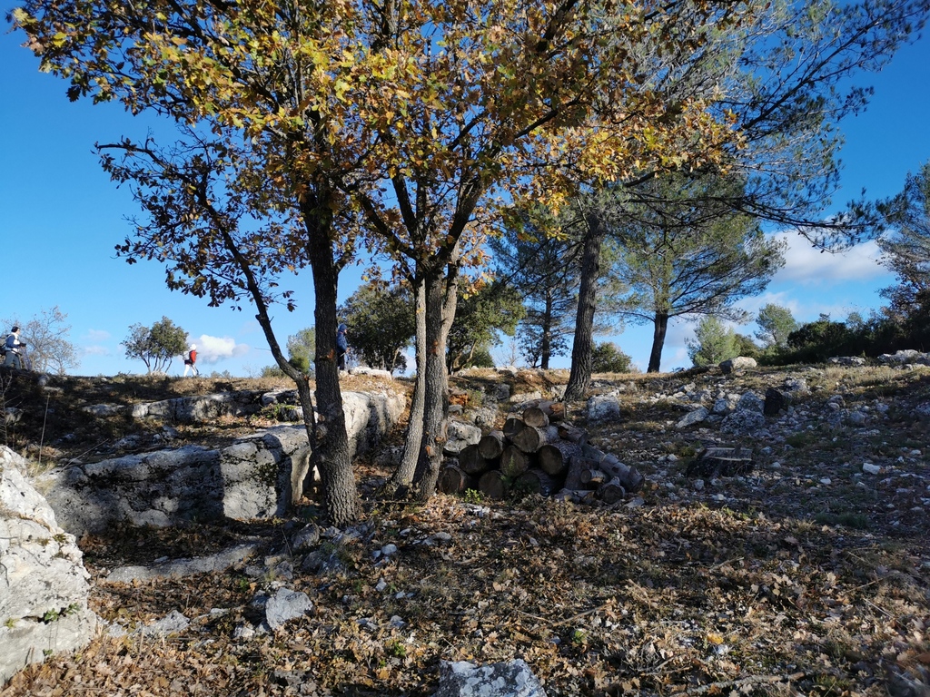 (René et Jes) Belcodène - Jeudi 2 décembre 2021 QWx6d0