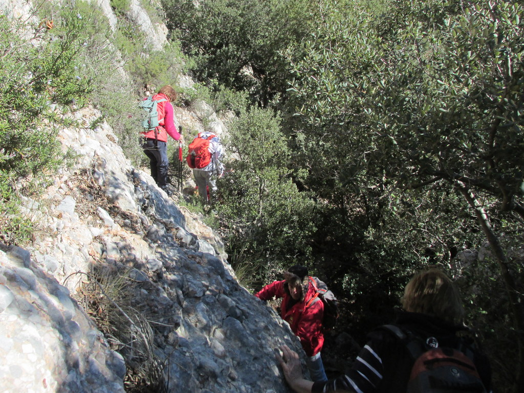        St Antonin "La Marbrière" Lundi 7 mars 2016 QeD1xi