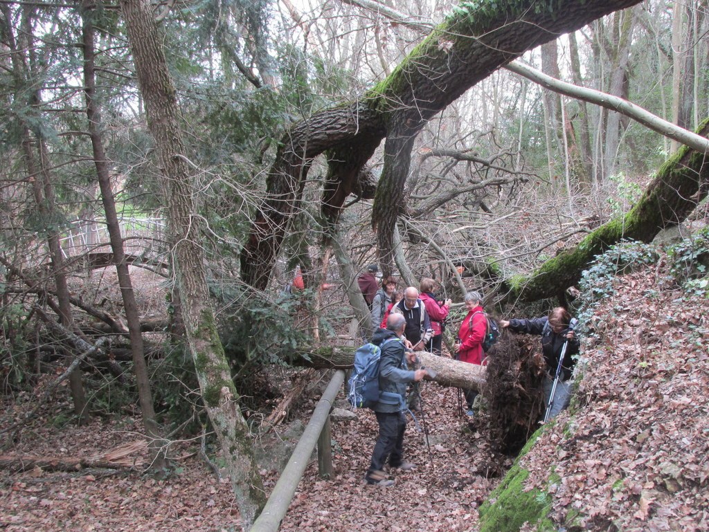 Bouc Bel Air - Jeudi 19 décembre 2019 - Groupe J.M et Gérard R75alj