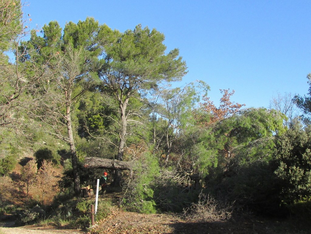 La Roque d'Anthéron - Jeudi 12 décembre 2019 - Groupe J.M et Gérard  Rmu8DP