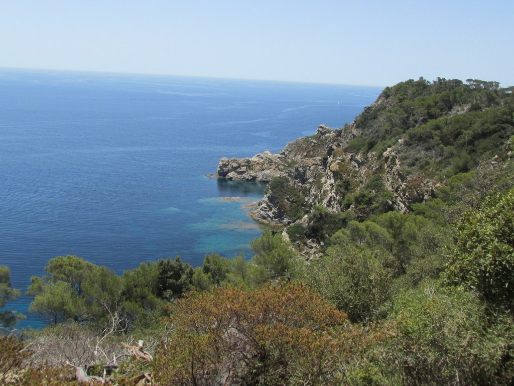 Porquerolles avec Jean Marie - jeudi 23 juin 2016 RzpDTv