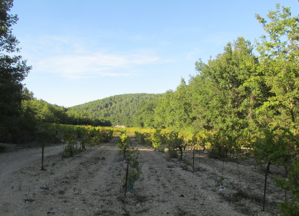 Bouc Bel Air - Jeudi 10 octobre 2019  Rando Colette Szc3a9