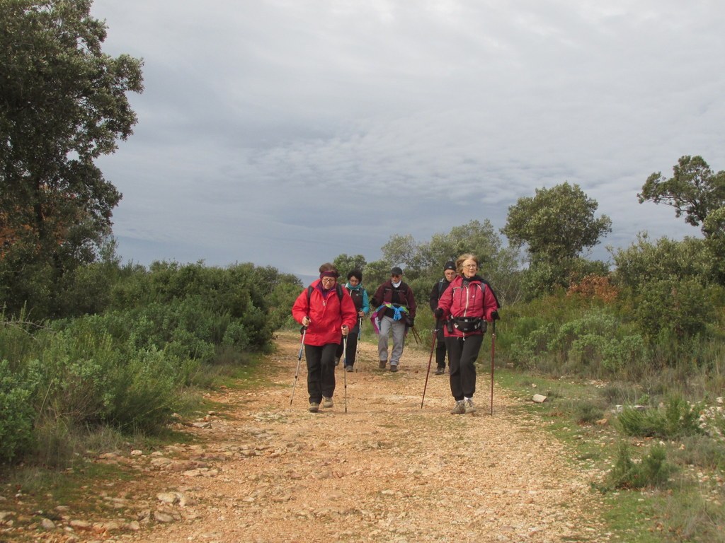 Pourrières - Jeudi 5 décembre 2019 Rando JM et Gérard - Photos Arlette et Roland TqkVLC