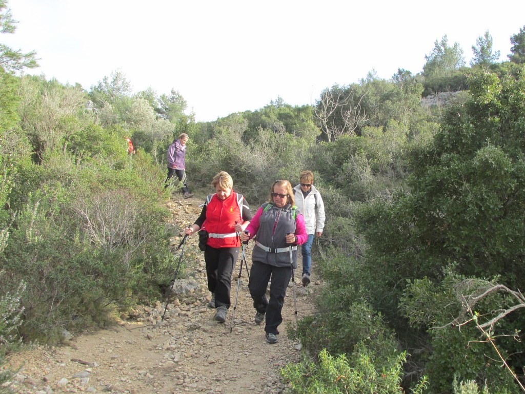 Ensuès - Calanque des eaux salées - jeudi 3 mars 2016 UYOFCe