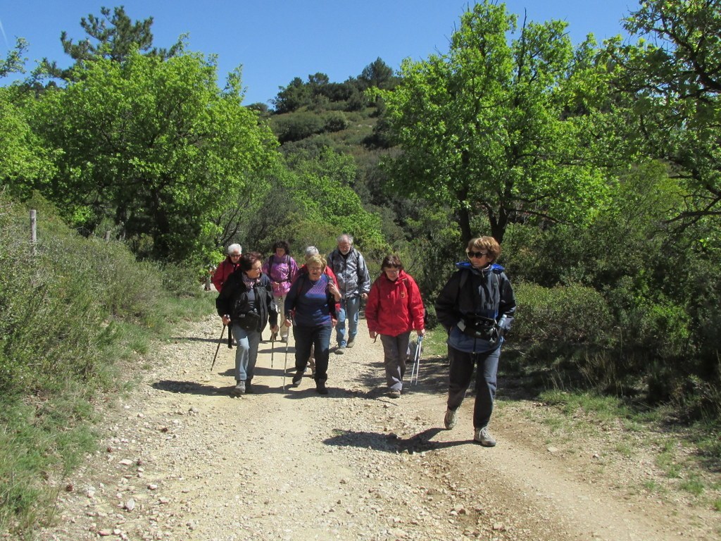         Cheval blanc - Gorges du régalon - Lundi 25 avril 2016 UcFG0m