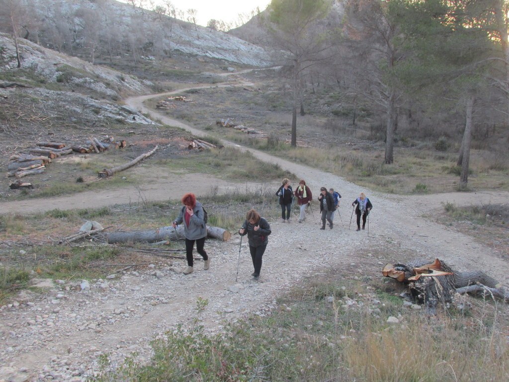 Ensuès - Calanque des eaux salées - Jeudi 18 janvier 2018 VDw5Hk