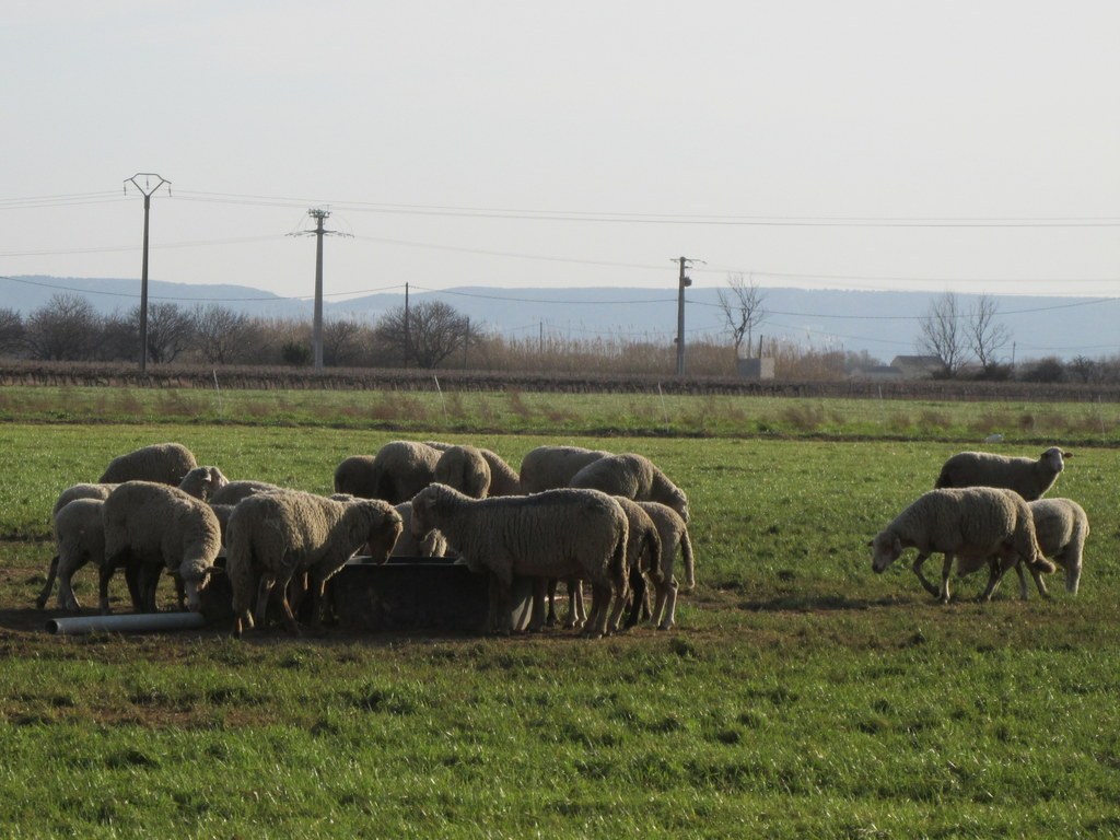 Berre l'Etang - Jeudi 28 février 2019 Whd1ex