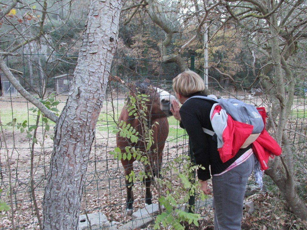 Gardanne -Jeudi 08 Décembre 2016 WwRTuw