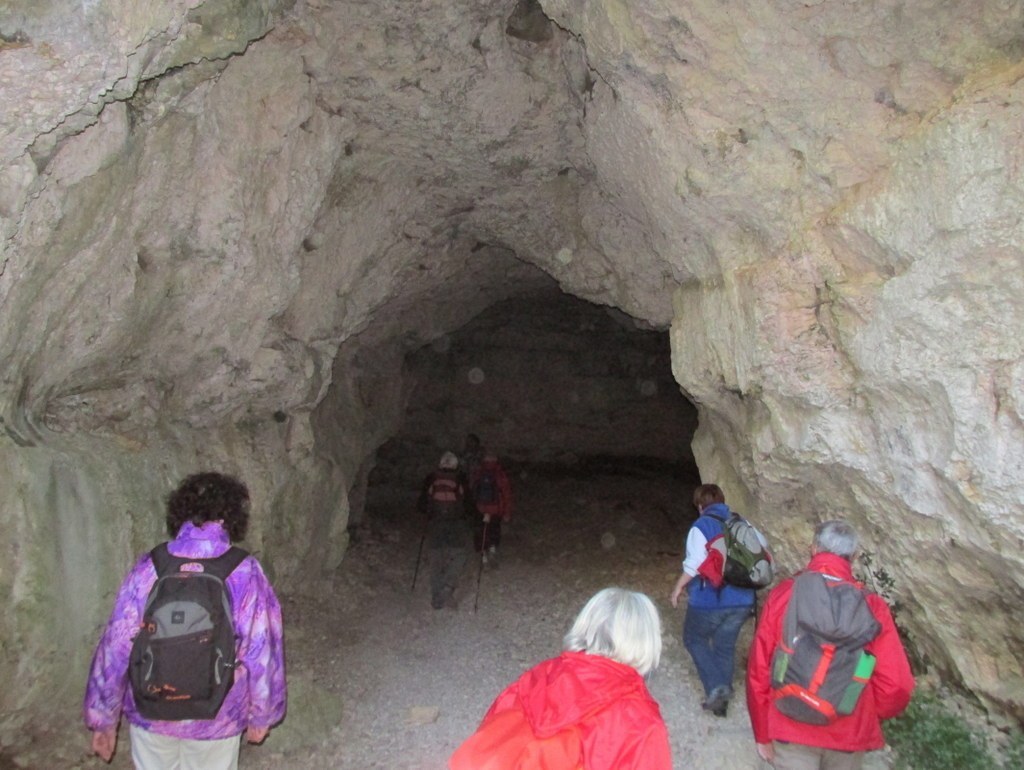         Cheval blanc - Gorges du régalon - Lundi 25 avril 2016 X9VUpJ