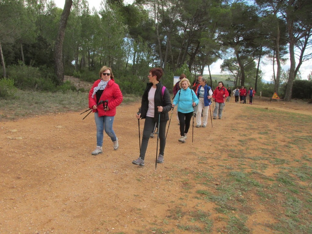 Roques Hautes - Barrage de Bimont -jeudi 10 novembre 2016 XlYBiJ