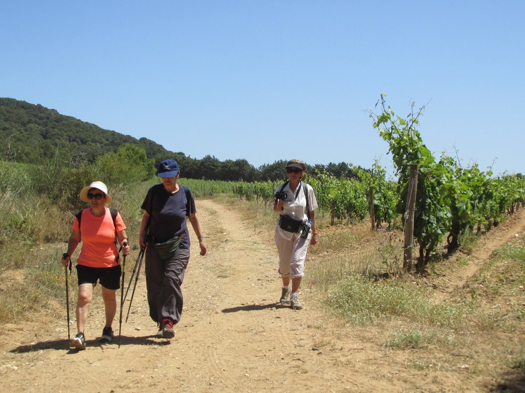 Porquerolles avec Jean Marie - jeudi 23 juin 2016 YskTRB