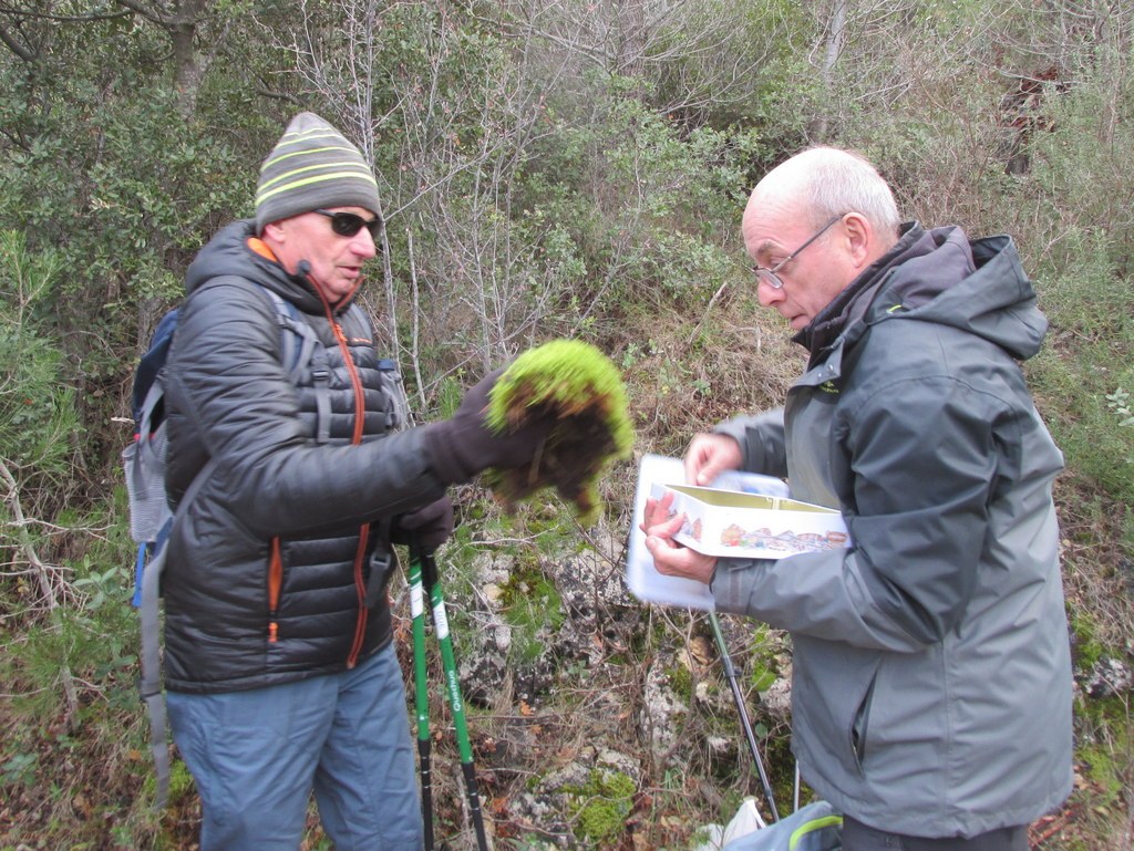 La Roque d'Anthéron - Jeudi 12 décembre 2019 - Groupe J.M et Gérard  ASIlfA