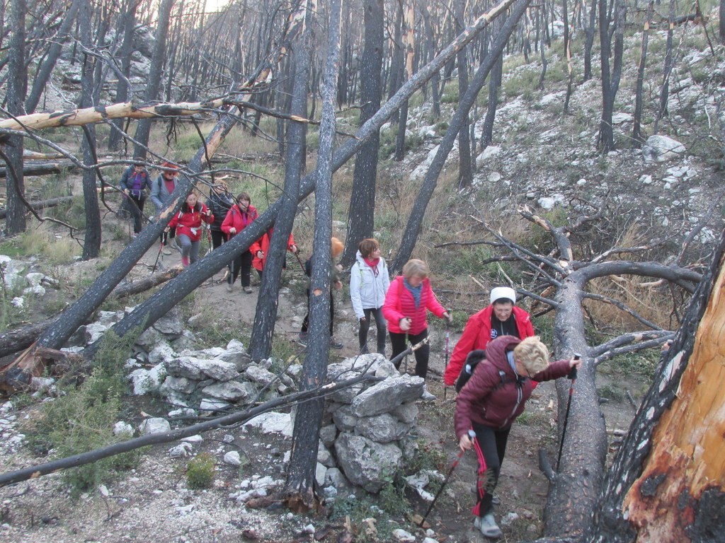 Ensuès - Calanque des eaux salées - Jeudi 18 janvier 2018 CquyOL