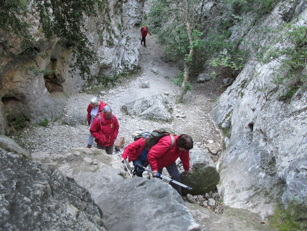         Cheval blanc - Gorges du régalon - Lundi 25 avril 2016 FGaebg