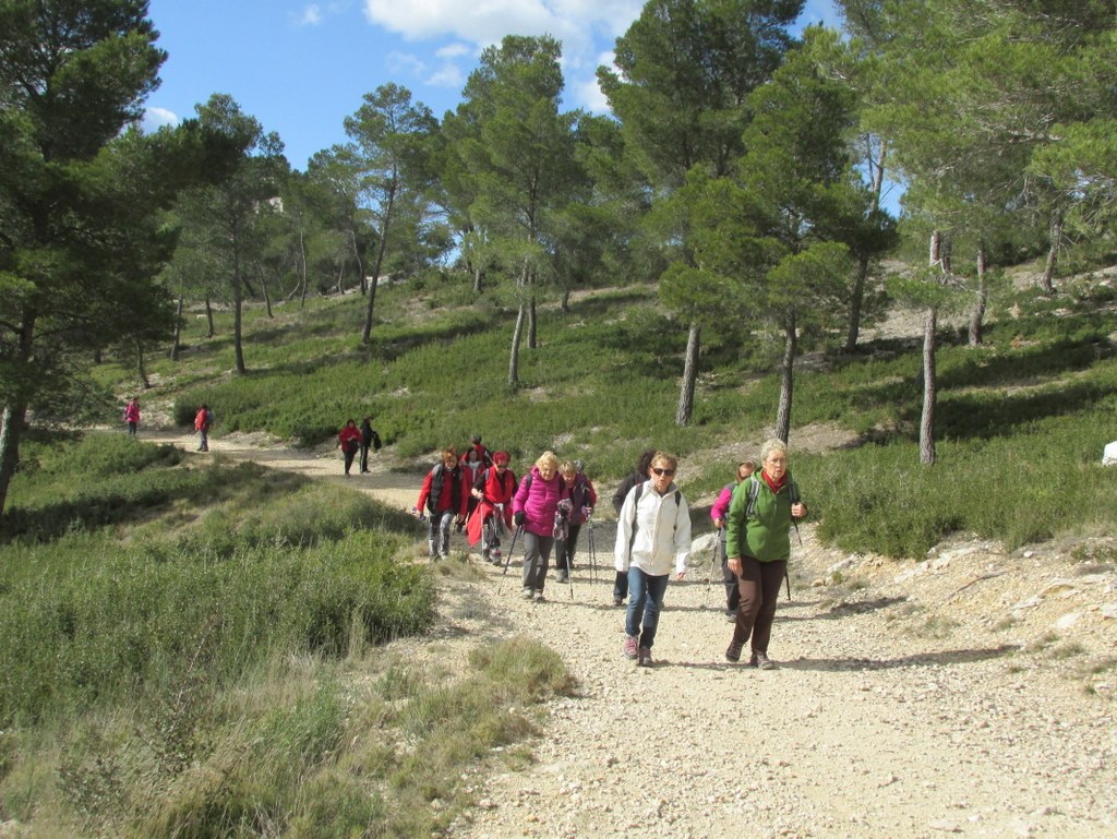 Ensuès - Calanque des eaux salées - jeudi 3 mars 2016 JA43VO