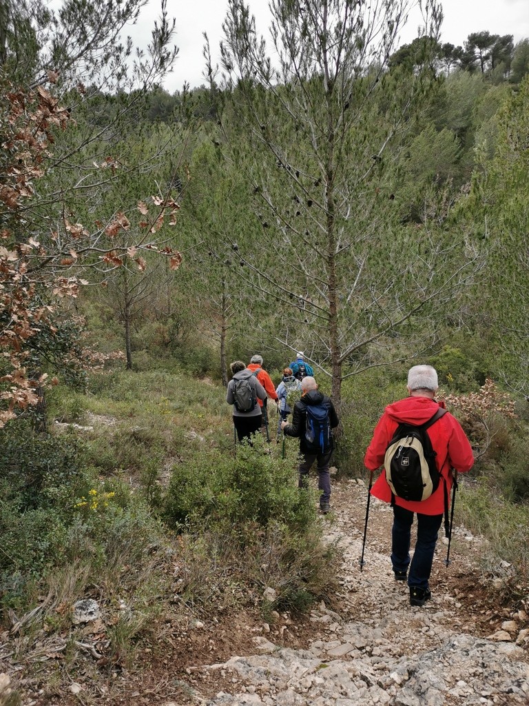 Luynes - Jeudi 23 janvier 2020 LGrymC