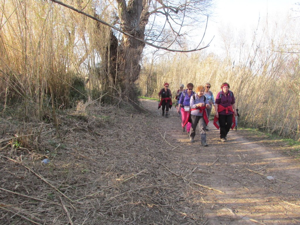 Berre l'Etang - Jeudi 28 février 2019 PCm93K