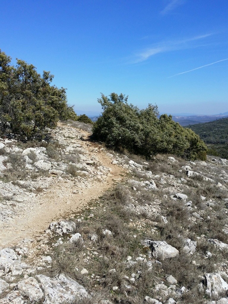 Vauvenargues - Jeudi 22 mars 2018 Rq1tps