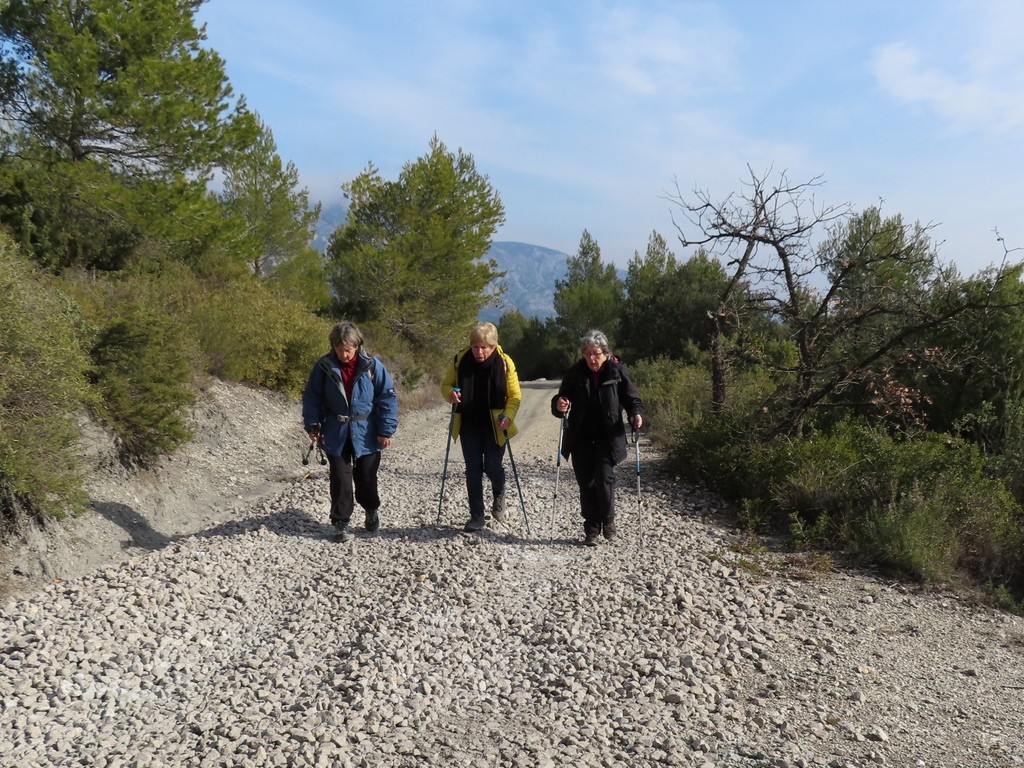 ( Gérard et Jean-Marie ) St Antonin - Jeudi 16 février 2023 SjePus