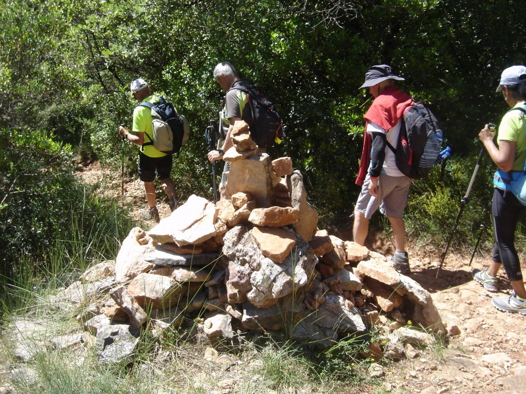 Tourves - Le Caramy -Jeudi 13 juin 2019 UHmUrR