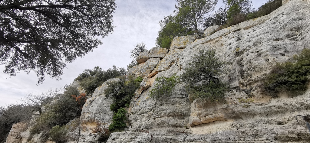 (René et Jes) La Roque d'Anthéron - Jeudi 22 décembre 2022 Uyes2Y