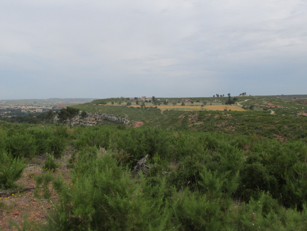 (Colette) Les Pennes Mirabeau - Les Barnouins - Jeudi 17 juin 2021 XotHfQ