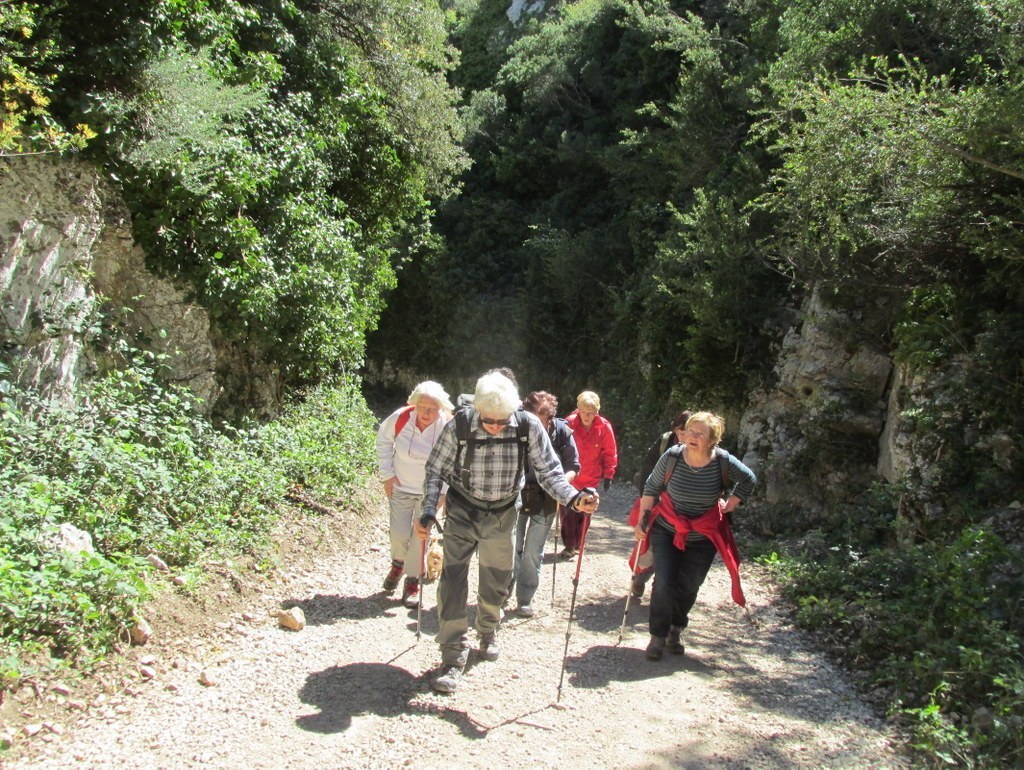         Cheval blanc - Gorges du régalon - Lundi 25 avril 2016 YY9xvB