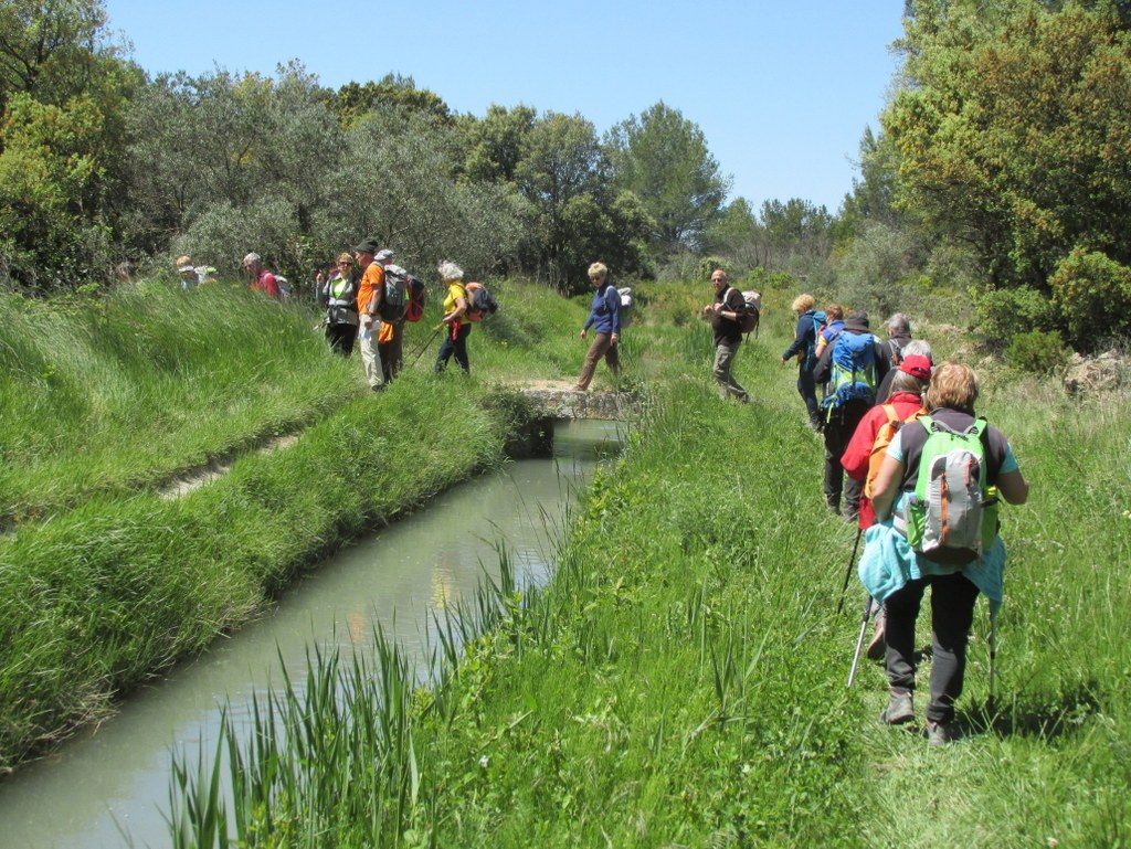 Randonnée culture Arles - Fontvieille - lundi 6 mai 2019 134RpY