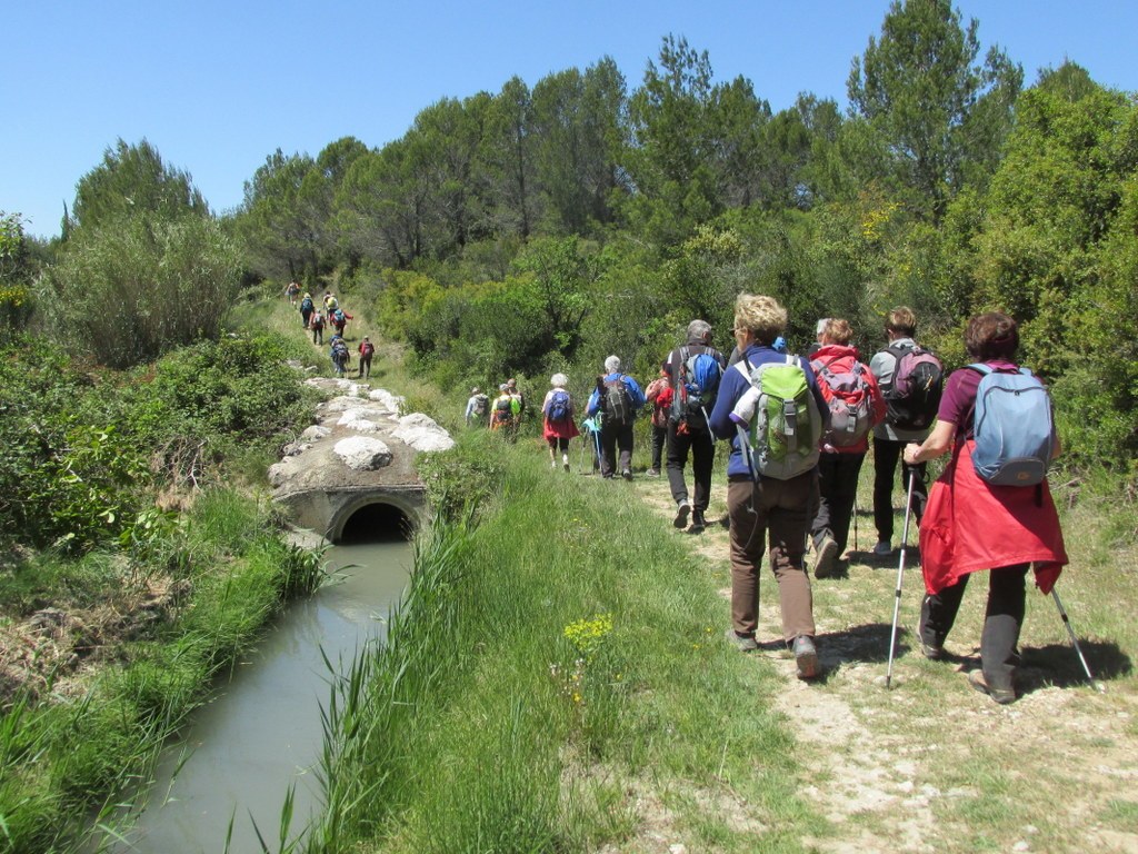 Randonnée culture Arles - Fontvieille - lundi 6 mai 2019 2Syq5h