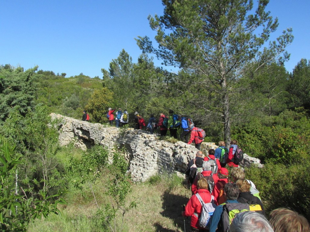 Randonnée culture Arles - Fontvieille - lundi 6 mai 2019 5ijkba