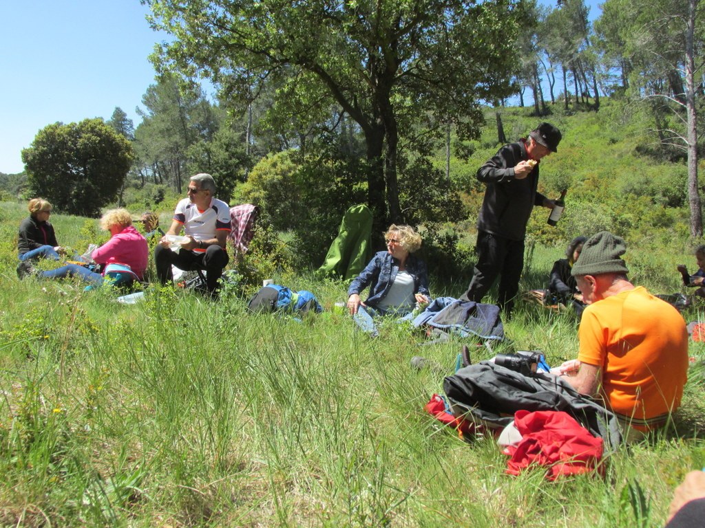 Randonnée culture Arles - Fontvieille - lundi 6 mai 2019 7zVgqh