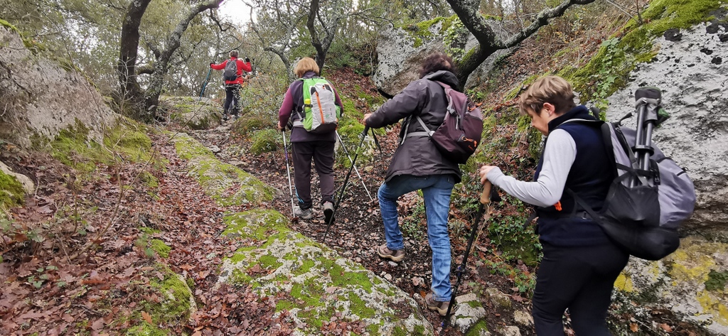 (René et Jes) La Roque d'Anthéron - Jeudi 22 décembre 2022 8TxHLl