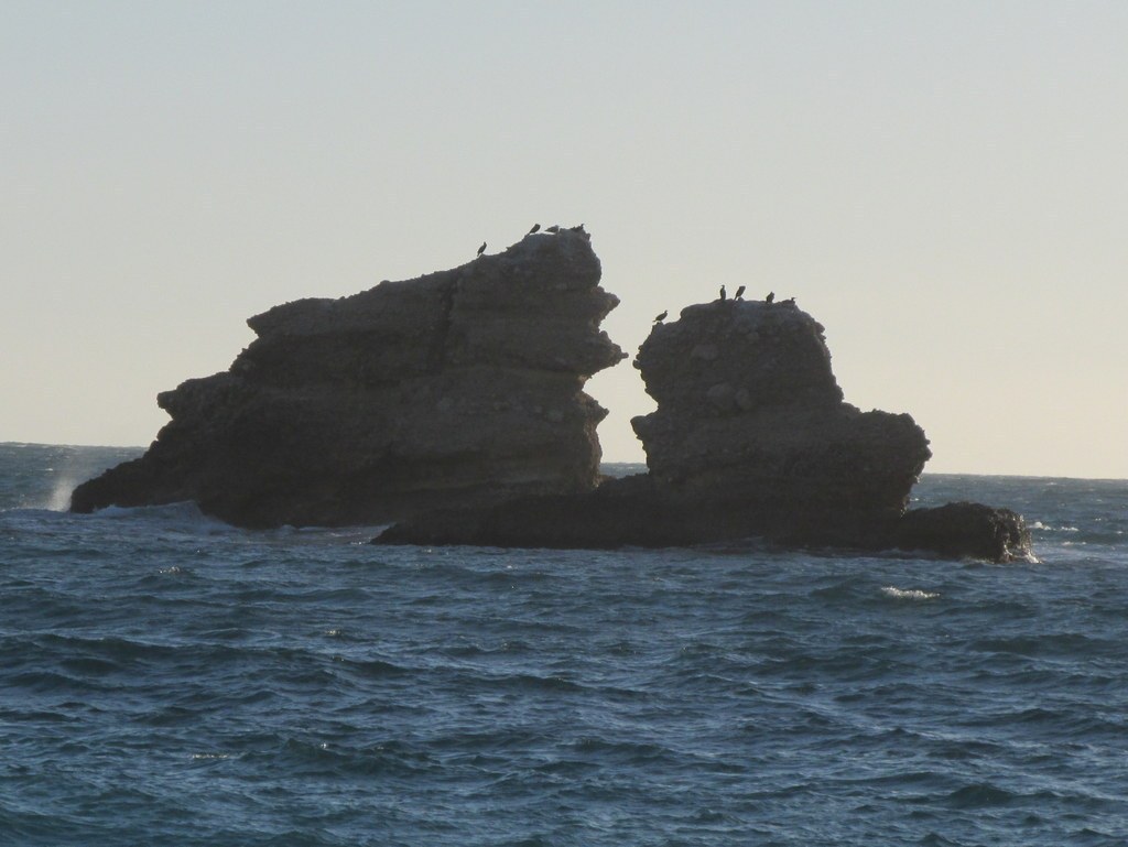 Ensuès - Calanque des eaux salées - Jeudi 18 janvier 2018 8WO2J4