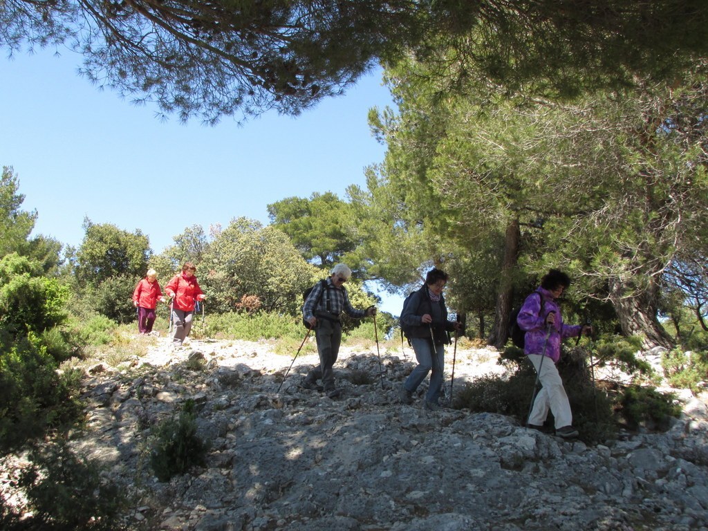         Cheval blanc - Gorges du régalon - Lundi 25 avril 2016 AArMHu