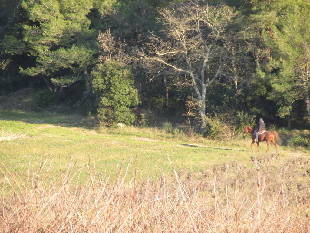 St Cannat - Jeudi 27 décembre 2018 DVVd35